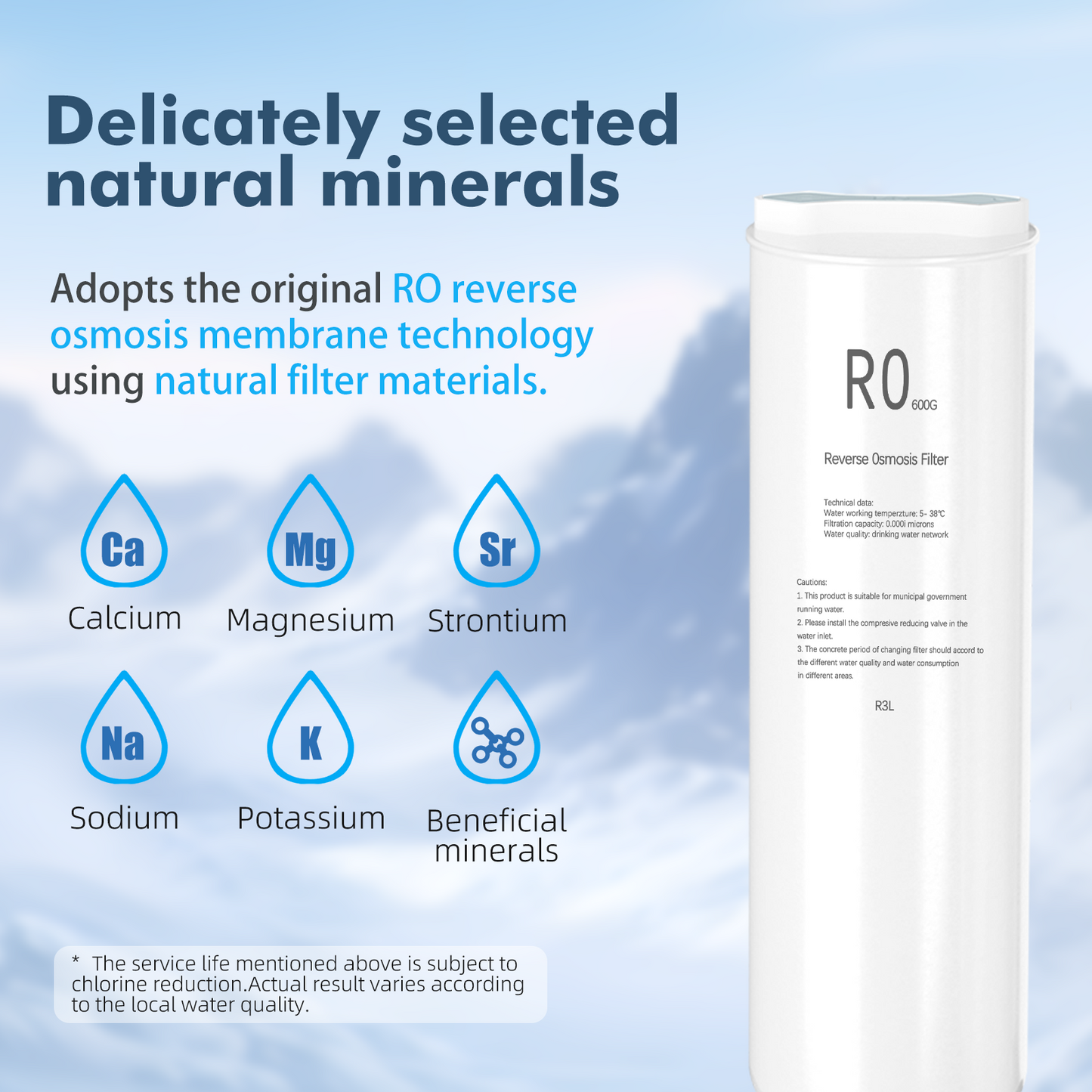 RO-600G filter